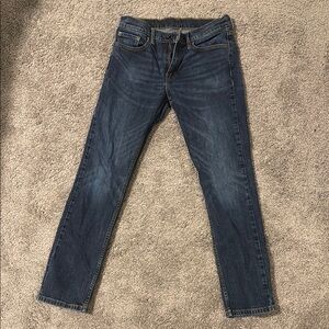 Levi’s Men's Dark Blue Skinny Jeans 31x32